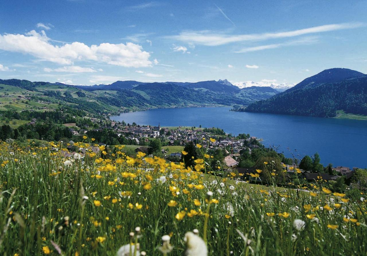 Seminarhotel Am Aegerisee Унтерегери Экстерьер фото