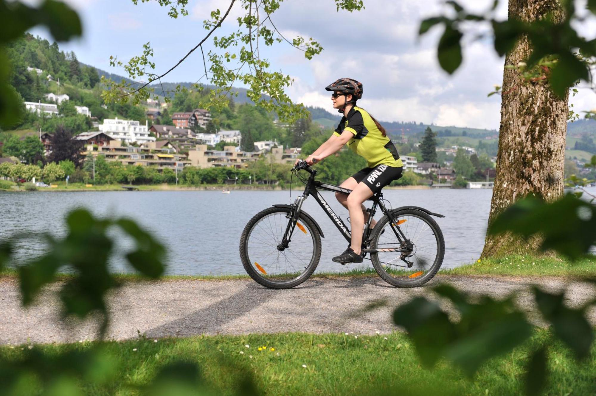 Seminarhotel Am Aegerisee Унтерегери Экстерьер фото